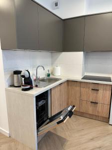 Kuchnia lub aneks kuchenny w obiekcie Apartament Metropolis 15