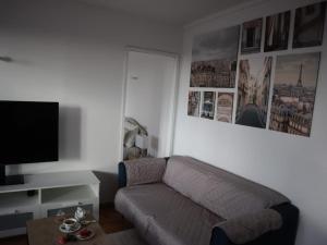 a living room with a couch and a flat screen tv at Magnifique appartement à 5 min de Paris et 10 min de l'aéroport d'Orly in Choisy-le-Roi