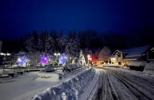 una calle cubierta de nieve por la noche con luces de Navidad en Hotel & Gasthaus Sterngrund, en Zella-Mehlis