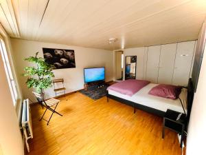 ein Schlafzimmer mit einem Bett und einem TV. in der Unterkunft Newly furnished beautiful old building apartment in the center with Apple TV O1 in St. Gallen