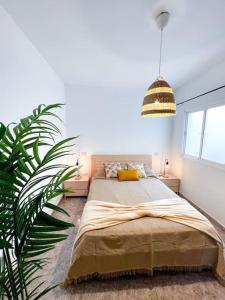 - une chambre avec un lit et une grande plante dans l'établissement Cosy apartment near the beach, à Arinaga