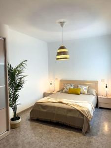 1 dormitorio con 1 cama y una maceta en Cosy apartment near the beach, en Arinaga