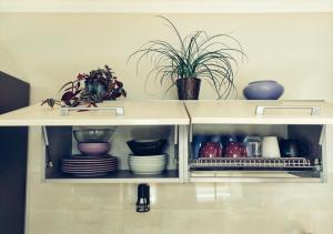 a kitchen cabinet with dishes and plants in it at Laumžirgių upė - jaukus butas ramiam poilsiui Anykščiuose in Anykščiai