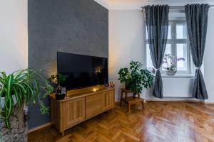 a living room with a flat screen tv on a wooden entertainment center at Alla Prague Apartment in Prague