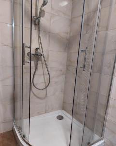 La salle de bains est pourvue d'une douche en verre. dans l'établissement Luxury Apartment Zimska idila, à Bjelašnica