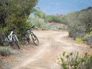two bikes are parked on a dirt road at Karoo 62 Escapes in Ladismith