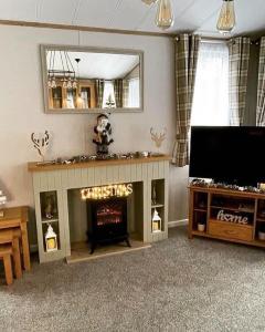 a living room with a fireplace and a flat screen tv at Willow Lodge with Hot Tub in Barmby on the Moor +16 photos