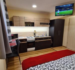 Kuchyňa alebo kuchynka v ubytovaní Lucsony Apartman