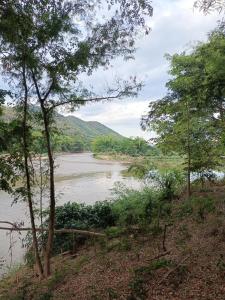 a view of a river from a hill with trees at ไร่ดง โฮมเสตย์ in Ban Pong Nua