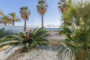 a view of a beach with palm trees and the ocean at LE MIDI 8 by ESTATES CANNES in Cannes