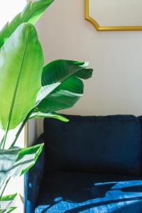 a large green plant sitting on a blue couch at Campanha Apartment By Porto Stories in Porto