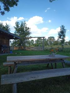 a wooden picnic table sitting in the grass at Romantische Wohnung Bauernhof, 100m2 offenes Dachgeschoss in Auhausen