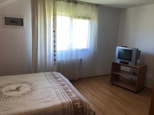 豐達塔的住宿－Cabana Fundata，一间卧室配有一张床和电视