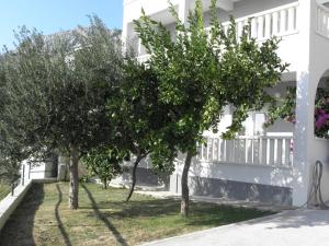 Vonkajšia záhrada v ubytovaní Apartment in Duce with sea view, terrace, air conditioning, WiFi 3423-3