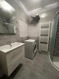 ein Badezimmer mit einer Waschmaschine und einem Waschbecken in der Unterkunft Penzion Fortuna Žatec in Žatec