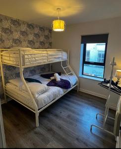 Etagenbett in einem Zimmer mit Fenster in der Unterkunft Galway Horizon Apartment in Galway