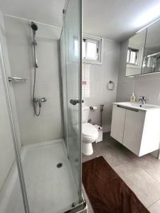 a bathroom with a shower and a toilet and a sink at White House studio with sea view and parking in Polis Chrysochous