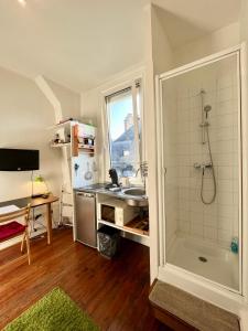 uma casa de banho com um chuveiro, um lavatório e um balcão em HYPERCENTRE VESLE - Studette 1 em Reims