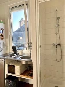 uma casa de banho com um lavatório e um chuveiro com uma janela em HYPERCENTRE VESLE - Studette 1 em Reims