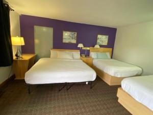 Cette chambre d'hôtel comprend 2 lits et des murs violets. dans l'établissement Tides Inn at Stehli Beach, à Locust Valley