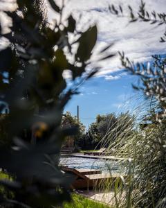 - une vue sur le ciel à travers un arbre dans l'établissement Santa Lucia Maccarese - Residenza Agricola, à Maccarese