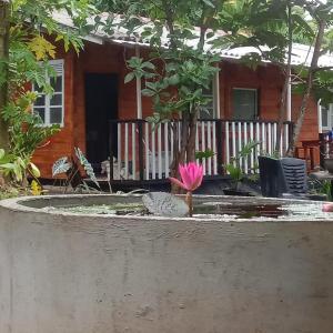 a pink flower in a pond in front of a house at My House Ahangama in Ahangama