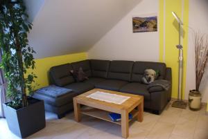 um cão sentado num sofá na sala de estar em Beilsteiner Ferienwohnungen em Beilstein