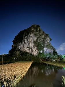 a mountain next to a field of corn at night at Tam Coc Horizon Bungalow in Ninh Binh