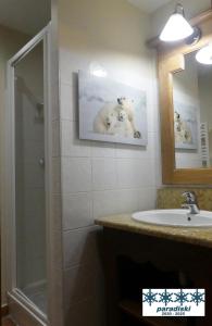 a bathroom with a sink and a shower and a mirror at Grande Marmotte, Ski aux pieds, Le Refuge du Montagnard, Arc 1950 in Bourg-Saint-Maurice