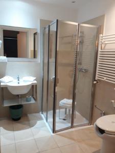 a bathroom with a shower and a sink at Hotel Aniene in Rome