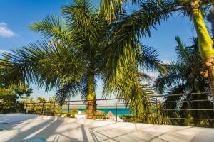 a group of palm trees with the ocean in the background at Camino del Alma Apartments in Bacalar