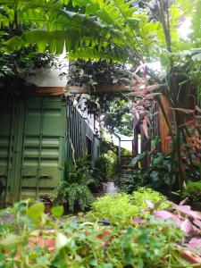 Un jardín fuera de Osa de Rio