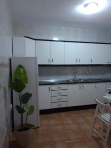 uma cozinha com armários brancos e um vaso de plantas em Casa Rural La Maestra em Atajate