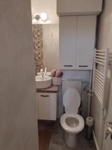 a bathroom with a white toilet and a sink at Apartament Central in Oradea