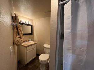 a small bathroom with a toilet and a sink at Classic home on a quiet street in Billings