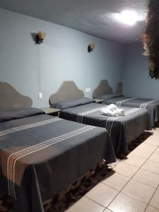 un grupo de camas alineadas en una habitación en posada San Alejandro, en Pátzcuaro