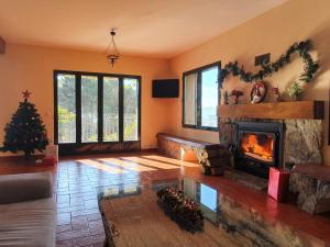 埃爾阿雷納爾的住宿－El Pinarejo，客厅设有壁炉和圣诞树