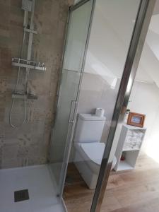 a bathroom with a shower and a white toilet at Casa Jardin Vigo in Vigo
