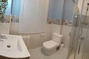 y baño con aseo, lavabo y ducha. en Reformado, cómodo y funcional en Medina del Campo, en Medina del Campo