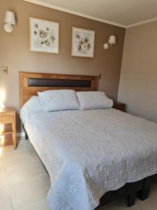 1 dormitorio con 1 cama grande y cabecero de madera en Cabañas y Loft Parronal, en Vicuña