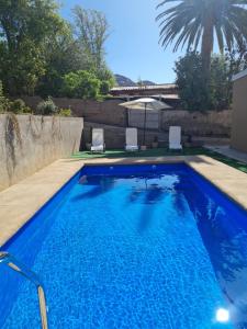 a swimming pool with two chairs and a palm tree at Cabañas y Loft Parronal in Vicuña
