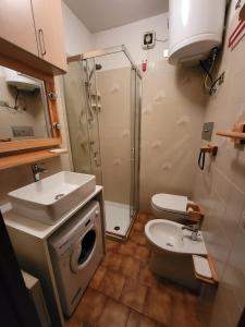 La salle de bains est pourvue d'un lavabo, de toilettes et d'une douche. dans l'établissement Casa Cedrone, à Aprica