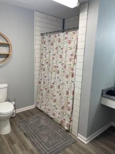 - Baño con cortina de ducha y aseo en The Bernice - 2 Bedroom Apt in Quilt Town, USA, en Hamilton