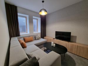 a living room with a couch and a flat screen tv at Nivalis Hill N&V in Jahorina