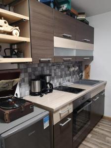eine Küche mit einer Spüle und einem Herd Top-Backofen in der Unterkunft Amanda's apartment in Kuldīga