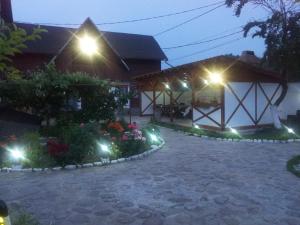 Billede fra billedgalleriet på Pension Sf Nicolae i Aluniş