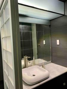 een badkamer met een wastafel en een spiegel bij Wonderful apartment next to Independence Monument in Mexico-Stad