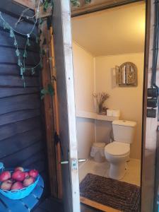 a bathroom with a toilet and a bowl of apples at PO NENDRIŲ STOGU in Šiauliai
