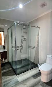 a bathroom with a glass shower with a toilet at Hotel HORSTMEYER in Cochrane
