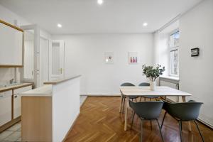 A kitchen or kitchenette at Big spacious central apartment in Vienna